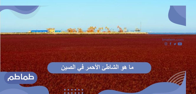 ما هو الشاطئ الأحمر فى الصين