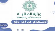 خطوات الاستعلام عن أمر دفع إلكترونيا – خدمات وزارة المالية