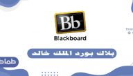 بلاك بورد جامعة الملك خالد .. تسجيل الدخول بلاك بورد الملك خالد