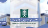 الاستعلام عن السجل التجاري بالاسم عبر موقع وزارة الاستثمار