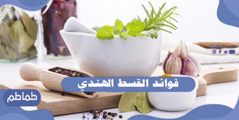 مالا تعرفه عن فوائد القسط الهندي تعرف عليها الآن