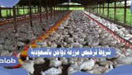 شروط ترخيص مزرعة دواجن بالسعودية .. تفاصيل مشروع مزرعة دواجن