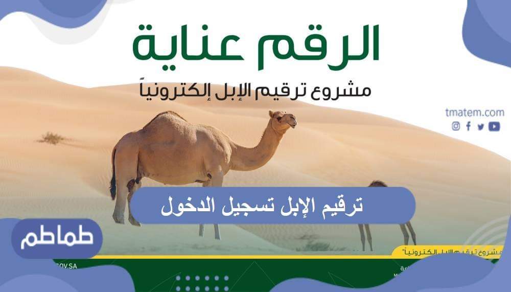 ترقيم الإبل تسجيل الدخول وشروط ترقيم الإبل
