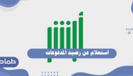 استعلام عن رصيد المدفوعات من خلال ابشر