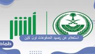 طرق استعلام عن رصيد المدفوعات اون لاين