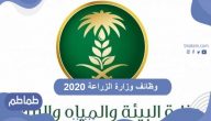 وظائف وزارة الزراعة 2020 .. تعرف موعد وأهم شروط التقديم
