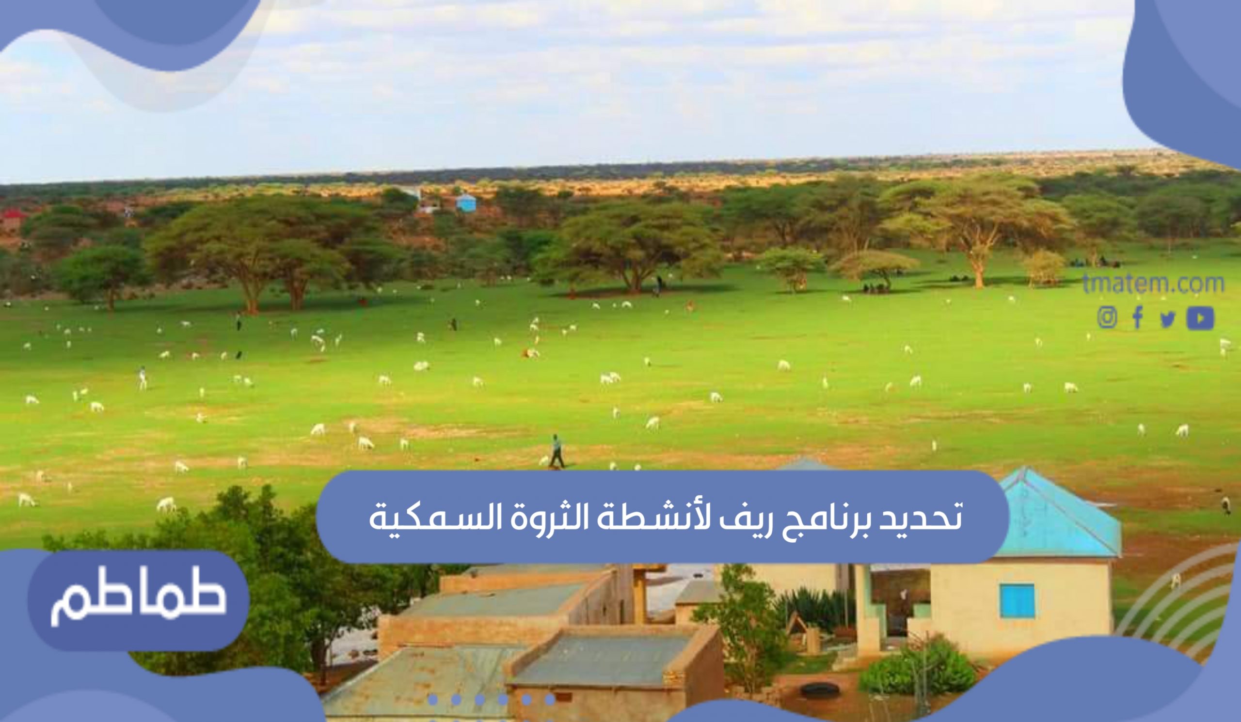 برنامج ريف
