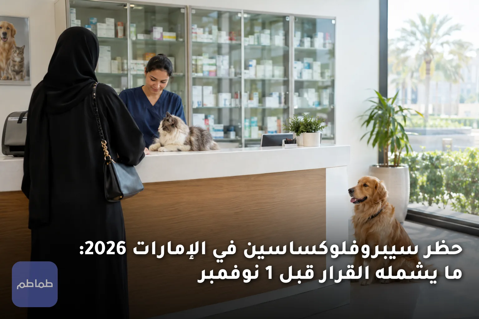 حظر سيبروفلوكساسين في الإمارات 2026: ما يشمله القرار قبل 1 نوفمبر